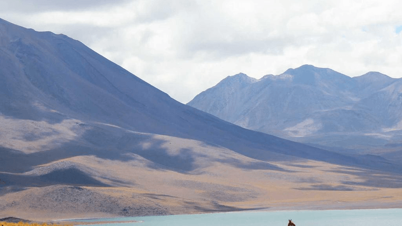 Bookmark - professional stock photography