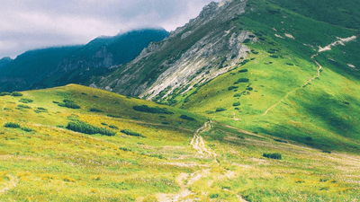 Bookmark - professional stock photography