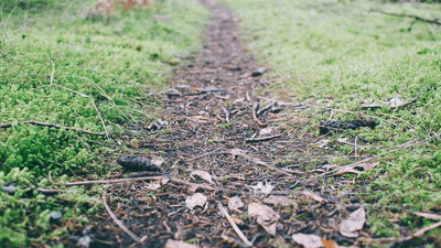 Chapter - professional stock photography