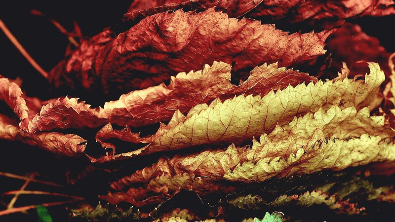 Desk - professional stock photography