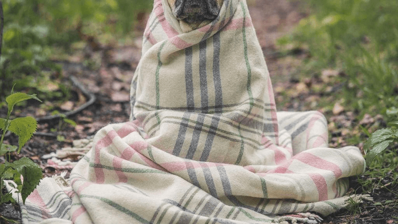 Fiction - professional stock photography