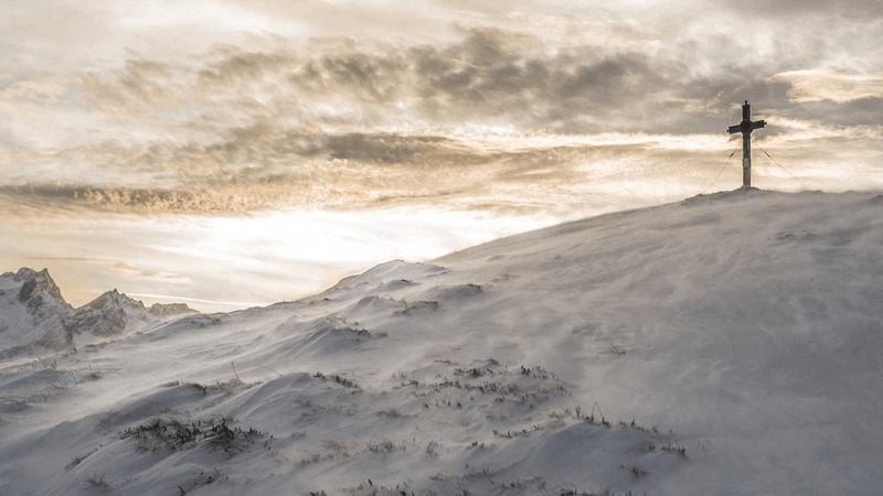 Glasses - professional stock photography