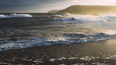 Glasses - professional stock photography