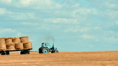 Kindle - professional stock photography