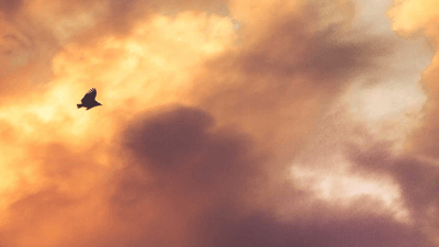 Kindle - professional stock photography