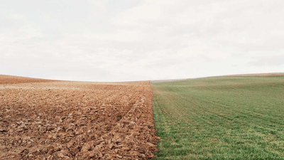 Lamp - professional stock photography