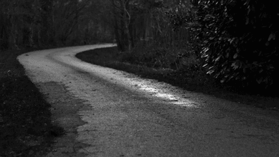 Lamp - professional stock photography