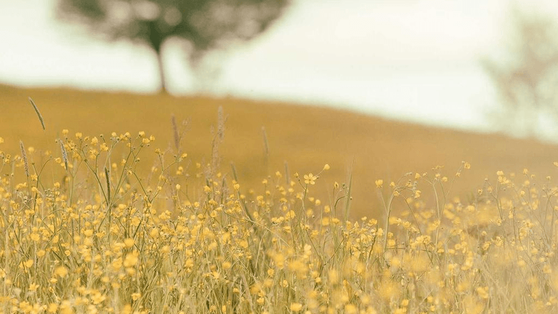 Library - professional stock photography