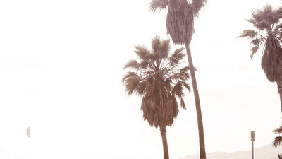 Notebook - professional stock photography