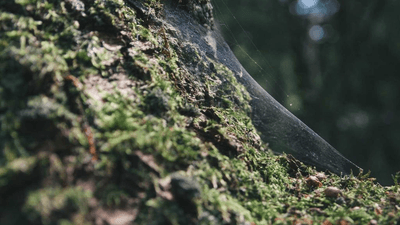 Notebook - professional stock photography