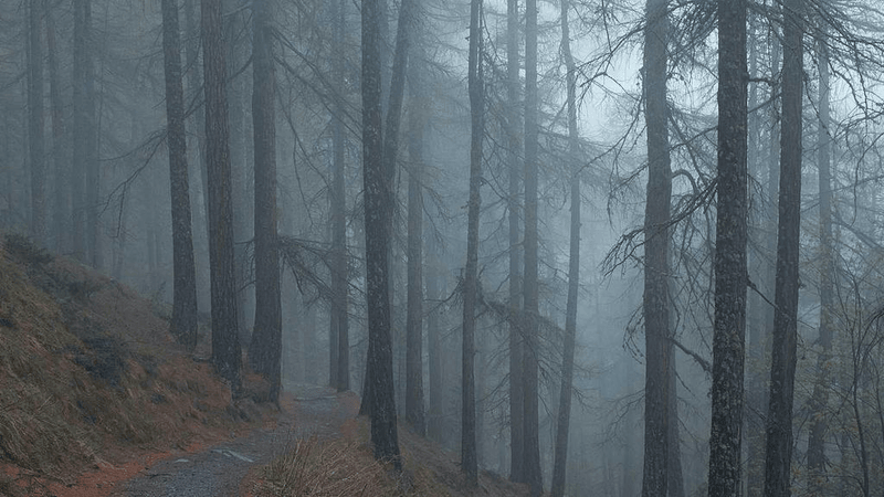 Pages - professional stock photography