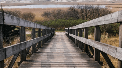 Pages - professional stock photography