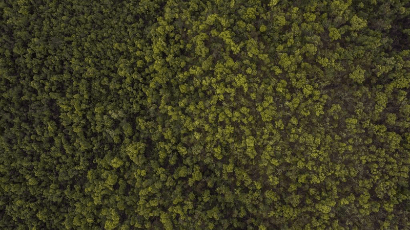 Pen - professional stock photography