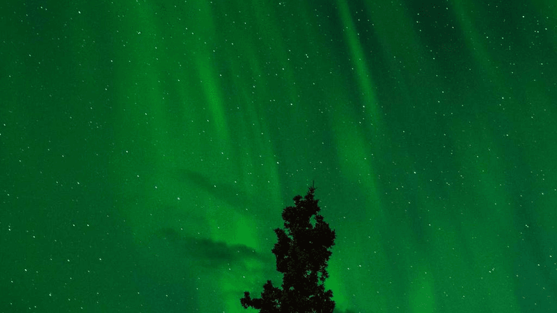 Poetry - professional stock photography