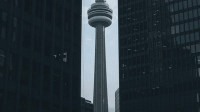 Reading - professional stock photography