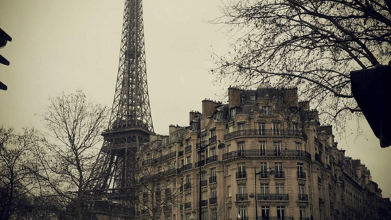 Reading - professional stock photography