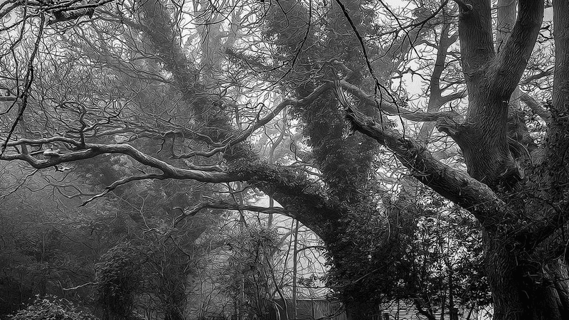 Shelf - professional stock photography