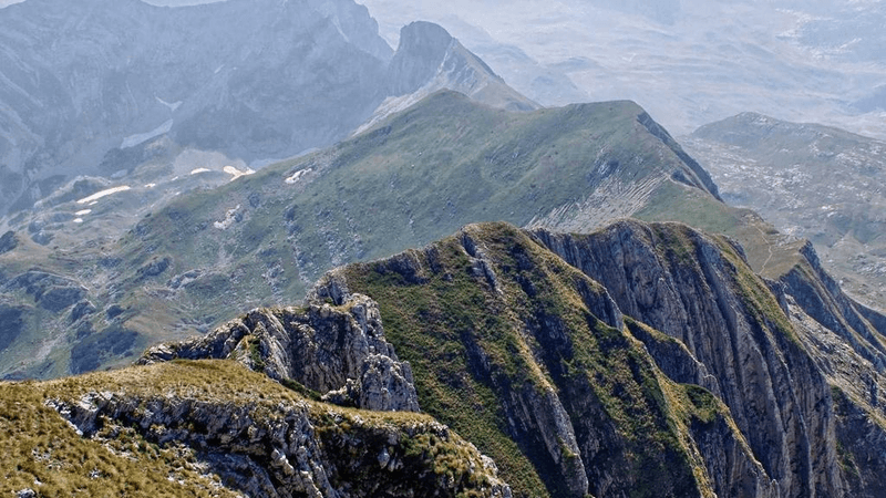 Shelf - professional stock photography