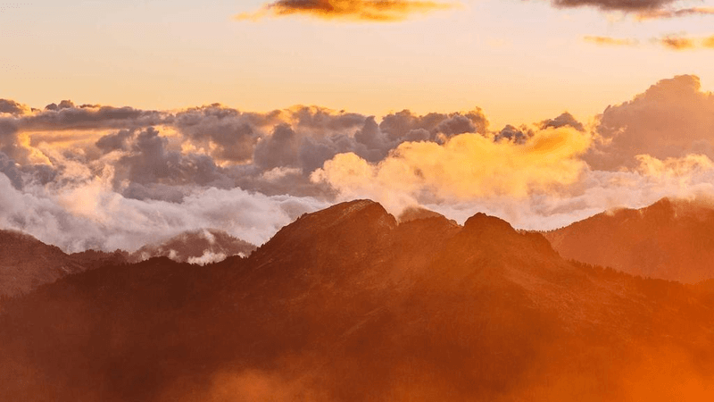 Shelf - professional stock photography