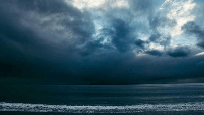 Shelf - professional stock photography