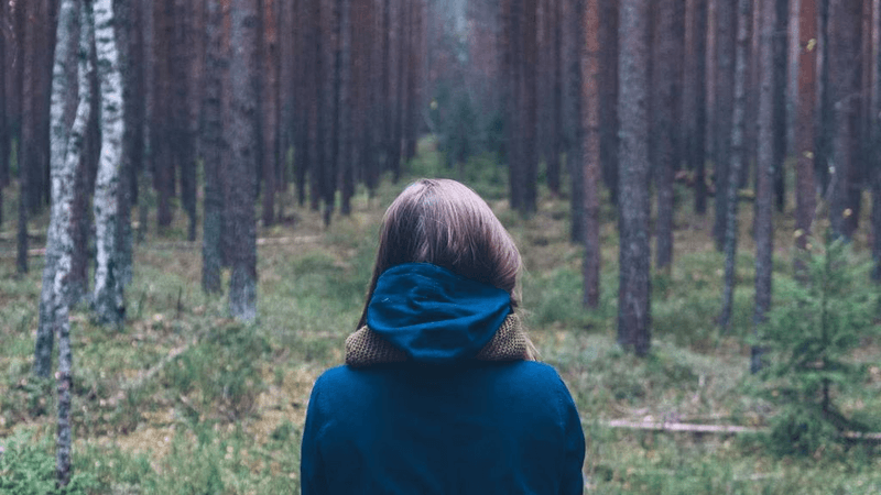 Study - professional stock photography