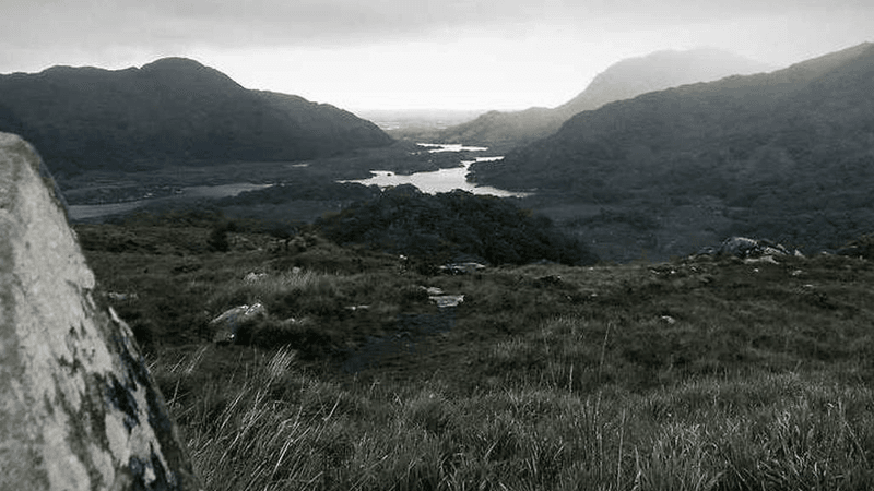 Study - professional stock photography