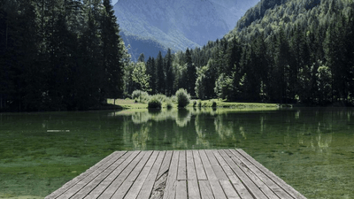 Study - professional stock photography